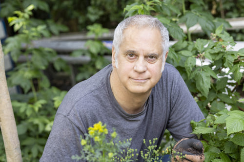 Massimo kneels in his garden while smiling.